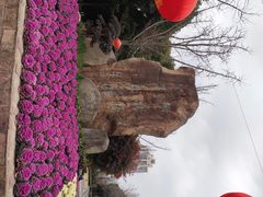 -苏州河梦清园环保主题公园