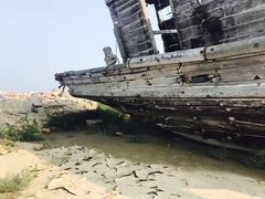 -日照灯塔风景区