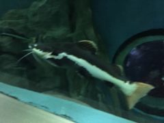 -苏州海洋馆