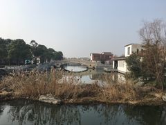 -溱湖国家湿地公园