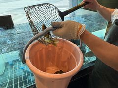 -湘轩·土菜研究院(光大店)