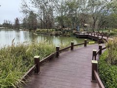 -佛冈森波拉度假区