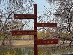 -桃花堤公园