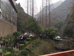 -宁海森林温泉