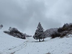 -武陵山森林公园