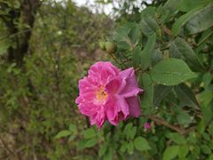 -仙海旅游度假区