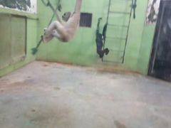 -辛玛王国游乐园