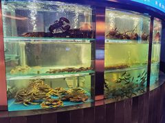 -1718海鲜姿造(苏宁宴请臻选店)