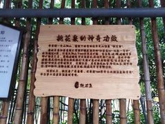 -田园东方蜜桃村的田野营地