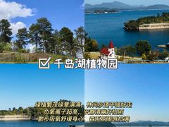 -水边人家·鱼宴餐厅·淳鱼馆(千岛湖店)