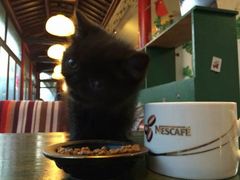 -南京夫子庙国际青年旅舍(平江府路店)