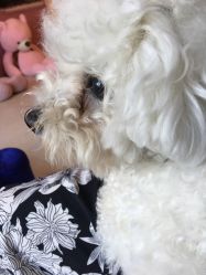 -Pink You美甲美睫纹绣定制中心