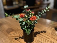 -Apollo·西班牙小酒馆(安福路店)
