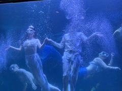 -左海海底世界