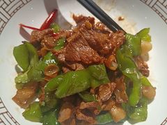 -点都德·毕德寮