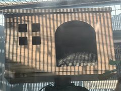 -青藏高原野生动物园