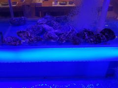 -北国料理(世荣路店)