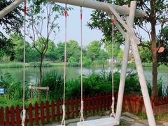 -鹅湖玫瑰文化园