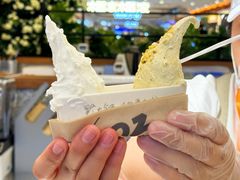 -野人先生Gelato(上海长宁龙之梦店)