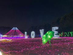 -广东花都香草世界旅游度假区