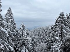 -武陵山森林公园
