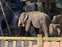 -贵州森林野生动物园