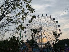 -花博汇(知音花月夜)