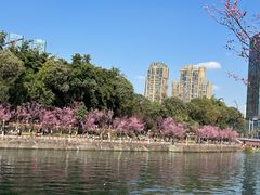 -望江楼公园