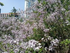 -迎泽公园