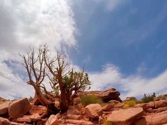 -科罗拉多大峡谷