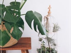 -AHAVA·Fang Baking Studio