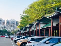 -顺峰山公园