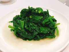 酒香豆苗-老吉士(环贸iapm店)