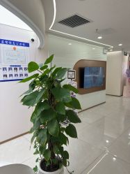 -至简医疗美容·医生集团
