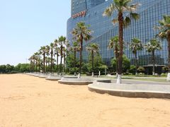 -金沙湖公园