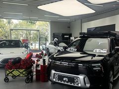 -上海浦东smart汽车全功能店(金桥店)