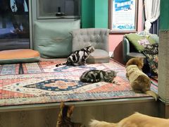 -大族广场Mall&More