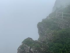 -牛背梁国家森林公园