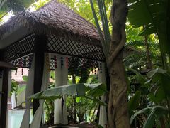 -碧桂园润杨溪谷温泉酒店