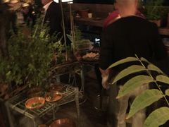 -普朗姆生蚝吧(原建国路店)
