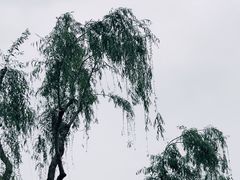 -东湖生态旅游风景区