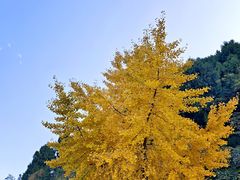 -金堂县云顶石城风景区