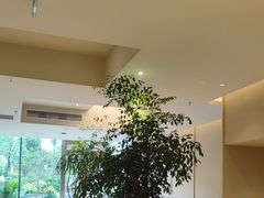 -Peet's 皮爷咖啡(海雅缤纷城店)