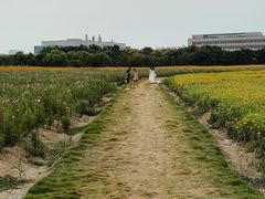 -长广溪湿地公园