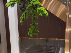 -正清和·推拿养生(二七广场店)