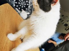 -平行世界·猫咖(首经贸店)