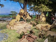 -国家自然博物馆