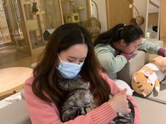 -猫腻·猫咖·撸猫馆(星光大道店)
