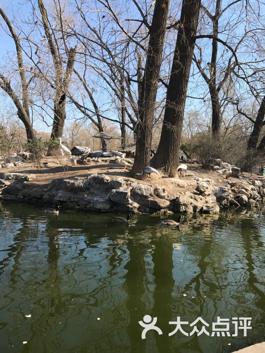 北京動物園-圖片-北京周邊遊-大眾點評網