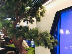 -绿茶餐厅(成都大悦城店)